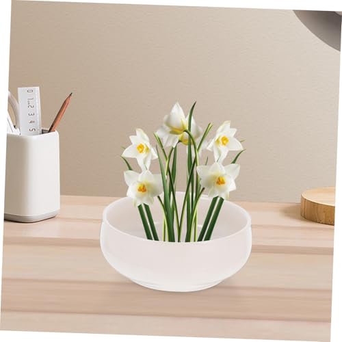 Pot de fleurs en céramique pour nénuphars idéal pour décorer votre bureau et salon - 5
