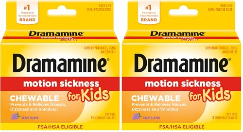 Dramamine Motion Sickness Relief for Kids (2-Pack)