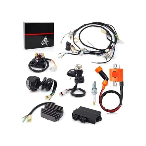 Kit allumage moto CDI et faisceau de câbles complet pour Yamaha Warrior YFM 350 X