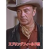 （字幕版）スプリングフィールド銃