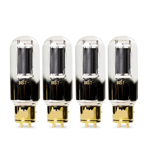 LHXEQJAM 845-T 845T Vacuum Tube HiFi Audio Tube Amplifier Kit DIY(4 PCS)