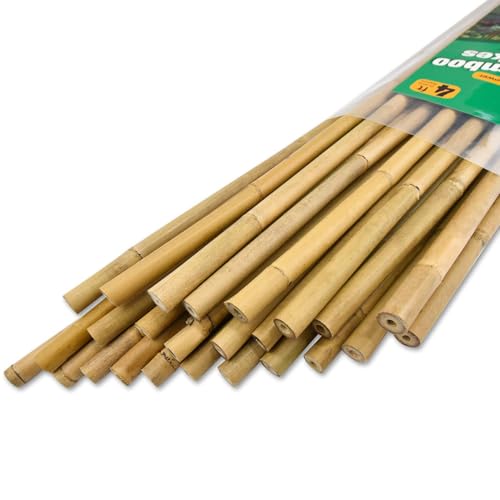 Jollybower 25pcs 1/2
