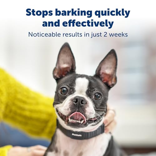 PetSafe NanoBark Collar - World's Smallest Bark Collar for Small and Medium Dogs, 10 Levels of Static Stimulation, Waterproof and Rechargeable Anti-Bark Training, Comfortable and Low-Profile Design by PetSafe - Image 2