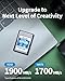 Nextorage Japan Cfexpress 4.0 Type A 512GB Memory Card VPG200 Max. Read 1900MB/s Max. Write 1700MB/s NX-A2SE512G