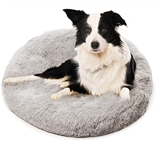 Active Pets Medium Dog Bed, Orthopedic, Washable, Light Grey
