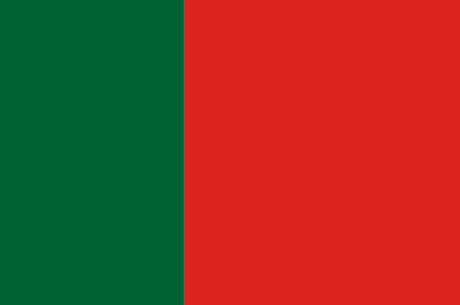 Drapeau Guadamur Toledo de grande taille pour mât extérieur