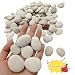 lifetop Tiny White Painting Rocks DIY Rocks for Painting Detail-Painting Smooth Surface Stones,Arts and Crafts ，1.0 to 1.5 inches ，So Small Rocks, Hand Picked for Painting Rocks (1LB)
