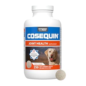 Nutramax Laboratories Cosequin Maximum Strength Joint Health Supplement for Dogs – With Glucosamine, Chondroitin, and MSM, 250 Chewable Tablets