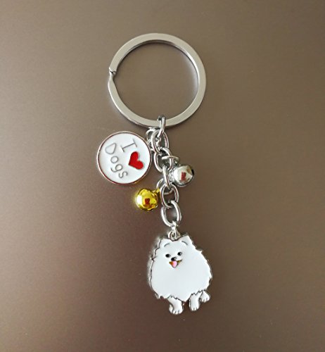 BbearT®, portachiavi con targhetta per cani e cani...