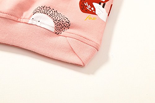Image of Bumeex Girls Cotton Crewneck Cute Sweatshirts The Hedgehog and The Fox Pink 2-7T