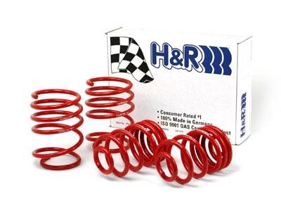 HR Sport Springs (29484)