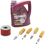 zzr 1100 technische daten !!!!!Achtung!!!! das hier angebotene Wartungspaket Öl + Ölfilter + Zündkerzen Set entspricht nicht der Ölmenge die Sie benötigen. Die genaue Ölmenge finden Sie in Ihrer Betriebsanleitung, bitte beachten Sie das!!!!! Ölfilter MF401:.