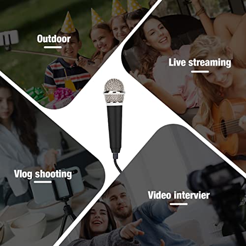 (2pack) Mini Microphone Tiny Microphone for Mobile Phone Laptop Notebook Apple iPhone Sumsung Android(Silver+Black)