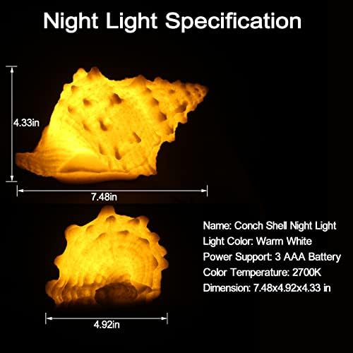 Conch Shell Night Light-Battery Powered LED Night Light for Kids Room, Auto Off Timer, Adults Bedroom Decor Nautical Lighting, Beach Themed Lamp Suitable for Baby Nursery, Home Ocean-Nightstand Decor 4 416vZCS1C6L. AC