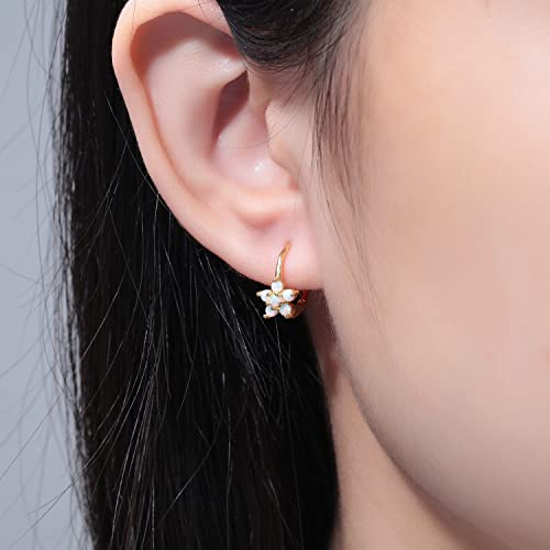CiNily Opal Dangle Earrings for Women Girls Flower/Butterfly/Oval Shape Leverback Drop Earrings Gemstone Jewelry Gift2