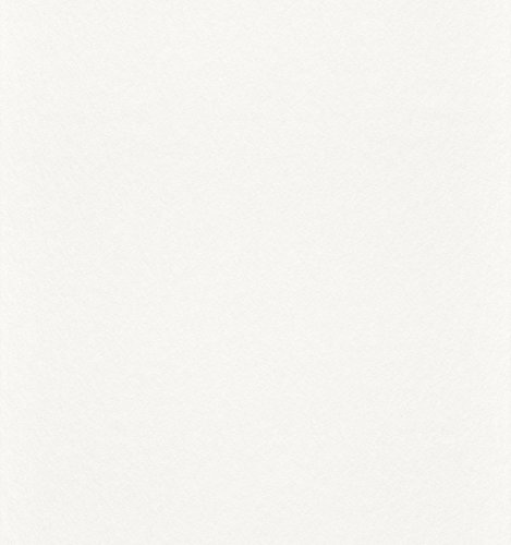 Rasch Tapeten Vliestapete (universell) Weiß 25,00 m x 1,00 m Makulaturvlies 129809