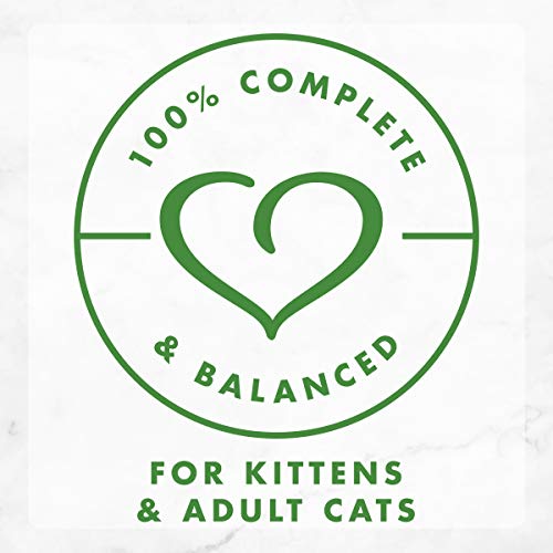 Purina Fancy Feast Gravy Wet Cat Food, Gravy Lovers Salmon Feast In Seared Salmon Flavor Gravy - (24) 3 Oz. Cans #TOP3