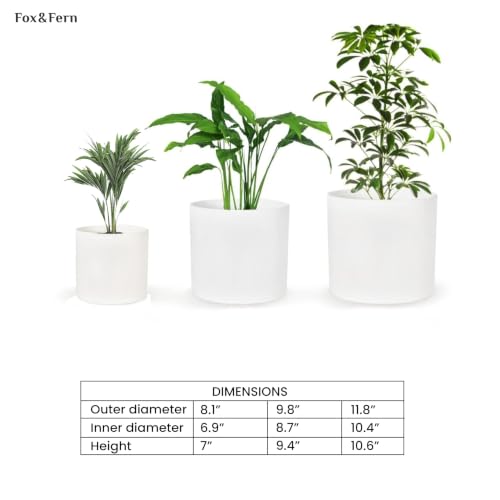 Fox&Fern Übertopf Set S/M/L - Blumentöpfe Gross inkl. Wasserabfluss - Blumentopf hoch - Übertöpfe für Zimmerpflanzen - Blumentopf 30cm… – Ansicht 7