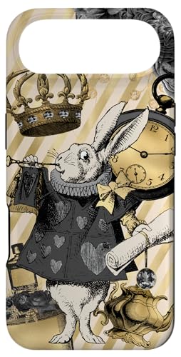 Be[W svc̍̃AX ETM Mtg db X}zP[X iPhone Air p