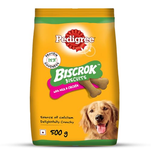 Image of Pedigree Biscrok Biscuits (Above 4 Months) Dog Treats, Chicken with Milk Flavour, 500 g, Source of Calcium, Goodness of 15% Protein