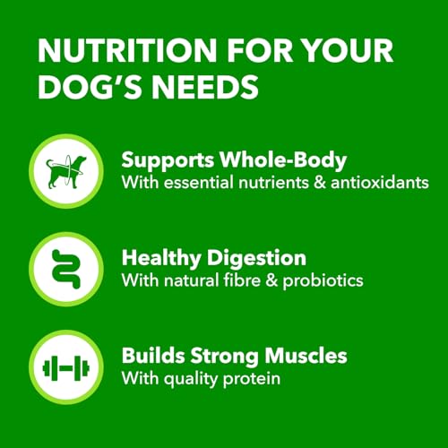 IAMS Proactive Health Minichunks Dry Dog Food – Crunchy Kibble for Adult Dogs – Chicken & Whole Grain Recipe – 3.18KG (7LB) Bag image 8