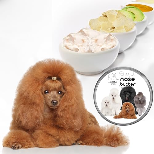 Image of The Blissful Dog Poodle Nose Butter, Versatile Dog Nose Balm for Dry Nose, Handcrafted Nose Moisturizer, Easy-to-Apply Dog Essentials, Unscented, 1 oz.