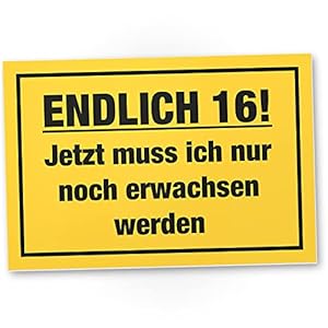 DankeDir! Endlich Sechzehn – Schild Kunststoff 30 x 20 cm – Geburtstagsdeko Geburtstagskarte Partydeko 16 Jahre…