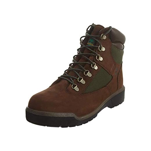 Timberland Men's 6-Inch Waterproof Field Boot, Brown, 9.5