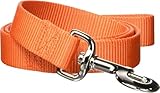 Hamilton Single Thick Deluxe Nylon Dog Leash with Swivel Snap, 1