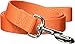 Hamilton Single Thick Nylon Lead with Snap -1 inch x 6 foot lead - Mango Orange