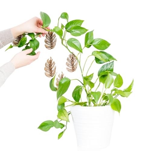 Treleaf Monstrella Wall Clips – Petite Size, Set of 5 Wooden Trellises for Indoor Climbing Plants – Self-Adhesive Plant Wall Fixtures to Create Green Walls – Perfect for Pothos & Vining Houseplants
