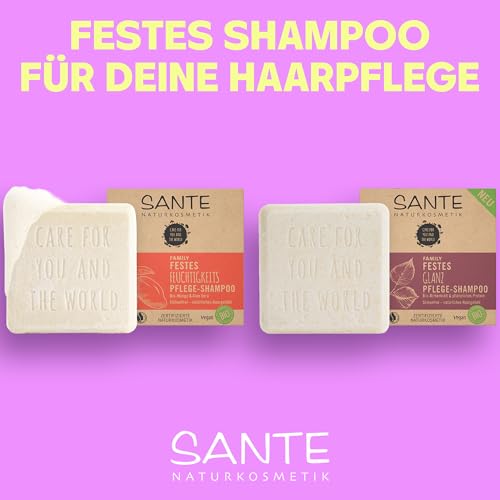SANTE Naturkosmetik Festes Shampoo für glanzloses und normales Haar, Vegane Formel mit Bio-Birkenblatt und pflanzlichem Protein, Festes Glanz Pflege-Shampoo, 1 x 60 g