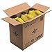 Pennzoil Motor Oil 5W-30 Motor Oil, 5 Quart (3 Pack)