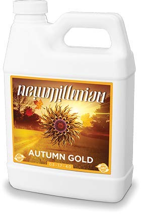 New Millennium Autumn Gold Quart (1)