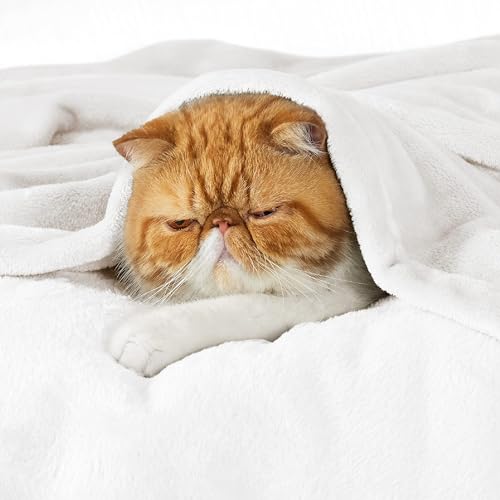 Image of Bedsure GentleSoft Fleece Bed Blankets Full Size White - Soft Lightweight Plush Fuzzy Cozy Luxury Blanket Microfiber, 84x90 inches
