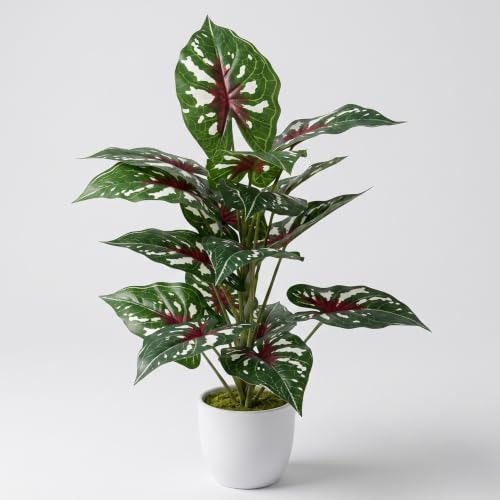 Image of Dekorly Artificial Caladium Plant Tree with White Pot 26 Inches | 66CM- Realistic Faux Leaf Plant for Home Decor, Bedroom, Living Room & Office (White Doted Caladium |Pack of One)