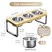 Elevated Cat Bowls with 3 Stainless Steel Bowls | 10° Tilted Anti-Vomiting...