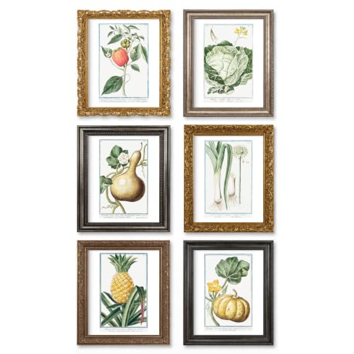 Láminas botánicas Ink Inc de cocina decorativas para paredes de comedores rústicos
