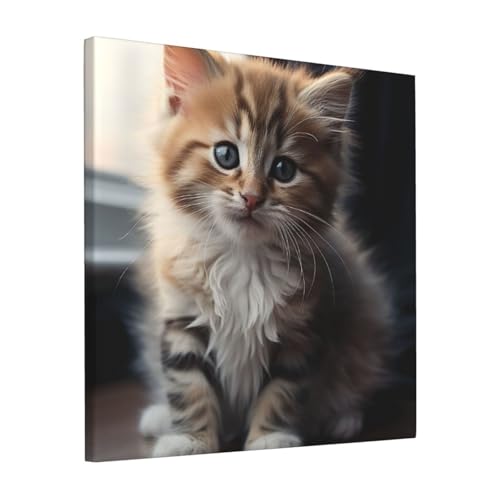 Impression sur toile chaton mignon pour une deco douce de chambre a coucher