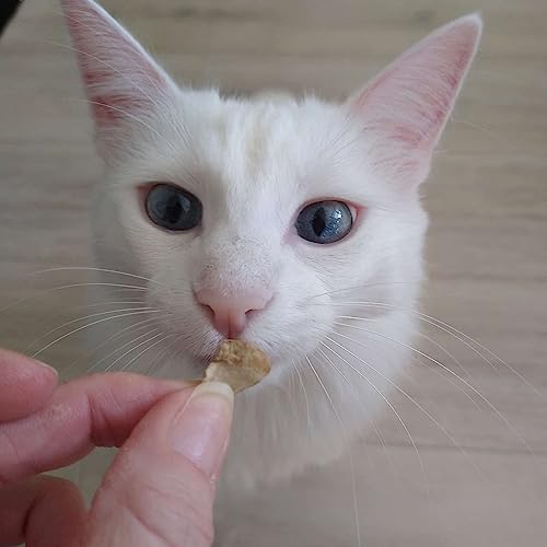 I Love My Cat Hochwertige Freeze-Snacks für Katzen mit Hühnerherzen (gefriergetrocknet), gut bekömmlich, kohlenhydratarm und ohne künstliche Zusatzstoffe - 25 g