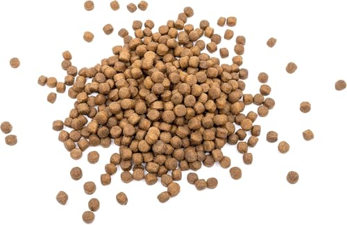 Nature's Protection Superior Care Trockenfutter für Hunde mit Empfindlich Haut und Magen - Hundefutter Trocken Getreidefrei für Alle Rassen mit Lamm, Erwachsene Hunde, 1.5kg