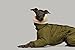 TWO T Italian greyhound coat,Sheep fleece jumpsuit, whippet Warm dog Cotton clothing (Small)