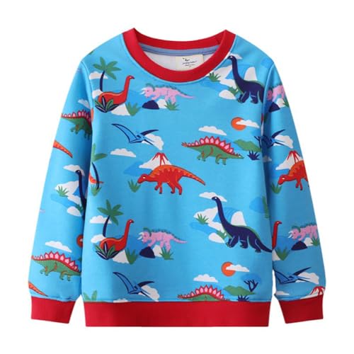 Boys Sweatshirts Long Sleeve Sweatshirts T-shirts Crew Neck Cotton Casual Sweatshirts Cartoon Tops for Boys-253