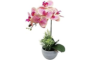 Olrla Artificial Pink Phalaenopsis Orchid Flower in Grey Pot