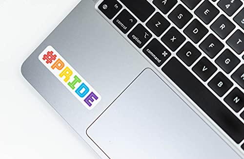 15Pcs Gay Pride Stickers Pride Dogs Sticker Boston Terrier Miniature Schnauzer Lgbt Lbqtq Lesbian Animals Pet Puppy Dogs For Lesbian Lgbt+ Water Bottles, Motivational Stickers For Teens Skateboard Cooler Tablet Laptop Decor Vinyl Waterproof Durable Laptop Sticker Decals For Hydroflasks Computer Decor Decorations For Pride Month Parade (Dogs) #TOP5