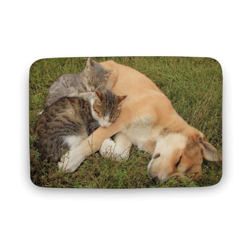 L Č  oX}bg z/唻 փ}bg  O   \ ~ Aj LN^[ @}bg   ʏ