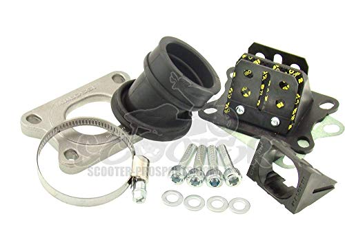 Malossi - Set di ingresso MHR Viton 21 mm per