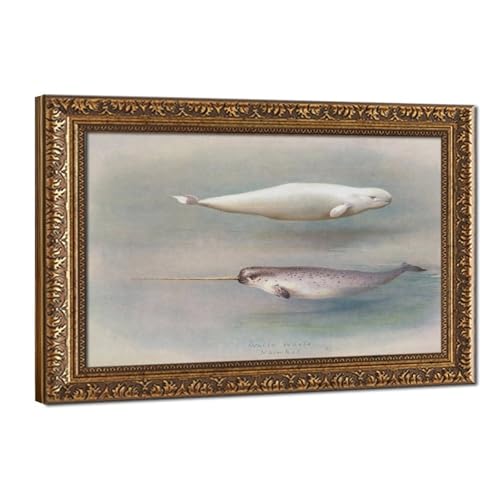 Toile Narval et baleine blanche Archibald Thorburn - Décoration murale bureau - Cadre 50x75 cm