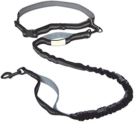 Heavy Duty Dog Leash-5FT Training Bungee Leash-High Reflective Rock Climbing Rope, Pet Leashes Leash for Medium Large Dogs