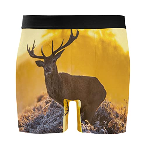 Bóxer para hombre elástica calzoncillos de ciervo para deporte y uso diario casual